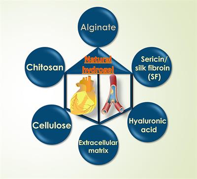 Injectable Hydrogel-Based Nanocomposites for Cardiovascular Diseases